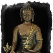 Medicīnas Budas pilnvaras Medicīnas Budas prakses zīmes uz ceļa